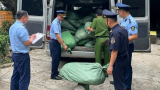 Cao Bằng: Phát hiện, thu giữ gần 123.000 kg nguyên liệu thuốc lá nhập lậu, không rõ nguồn gốc