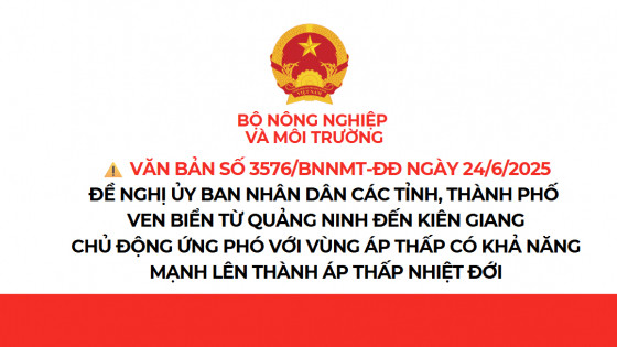 Chủ động ứng phó với vùng áp thấp có khả năng mạnh lên thành áp thấp nhiệt đới