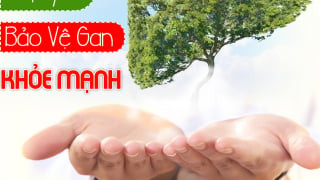Lối Sống Hiện Đại Đang Âm Thầm Tàn Phá Lá Gan Của Chúng Ta