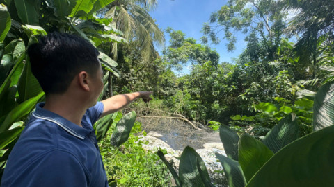 Nguyệt Ấn (Thanh Hóa): Chăn nuôi lợn tràn lan, ô nhiễm bủa vây người dân