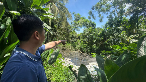 Nguyệt Ấn (Thanh Hóa): Chăn nuôi lợn tràn lan, ô nhiễm bủa vây người dân