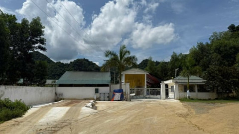 Thanh Hóa: Dân Thạch Quảng “ngạt thở” vì ô nhiễm từ trại lợn quy mô lớn