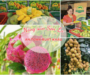 Sắp trình Chính phủ kế hoạch 'làm sống lại' các dòng sông chết