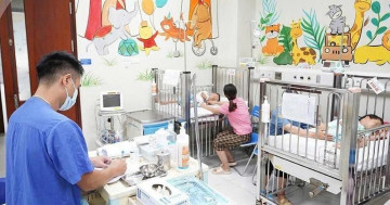 Bé 3 tuổi tử vong do ong đốt, cảnh báo nguy cơ sốc phản vệ và suy đa tạng ở trẻ nhỏ