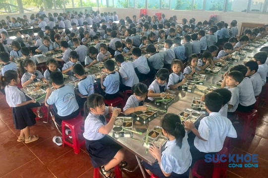 Lâm Đồng tăng cường kiểm soát an toàn thực phẩm tại bếp ăn trường học