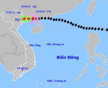Bão số 9 Ragasa áp sát Quảng Ninh, dự kiến đổ bộ đất liền trong chiều nay