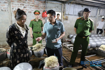 Hà Tĩnh: Phát hiện cơ sở dùng chất cấm để sản xuất gần nửa tấn giá đỗ