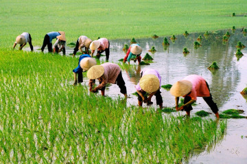 Khánh Hòa thúc đẩy tăng trưởng, góp phần nâng cao đời sống nhân dân