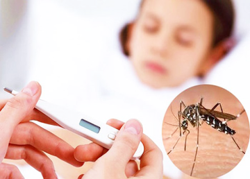 Sốt xuất huyết tăng cao – hệ lụy từ biến đổi khí hậu và thách thức kiểm soát bệnh truyền nhiễm
