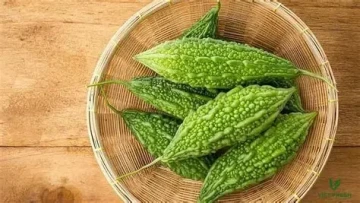 Những lợi ích của mướp đắng đối với đường huyết