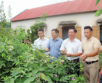Chủ tịch Hội Đông y tỉnh Đắk Lắk Võ Thuận Hóa – Vững bước giữa “rừng thuốc” Tây Nguyên