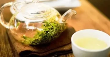 Những ai không nên uống nước lá đinh lăng
