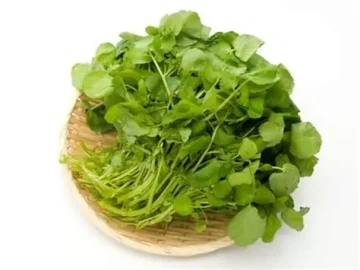 Loại rau tuy nhỏ nhưng lọt danh sách thực phẩm siêu dinh dưỡng