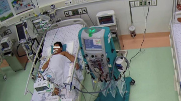 Cảnh báo hội chứng thực bào máu liên quan sốt xuất huyết Dengue