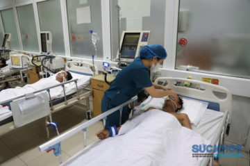 Cảnh báo từ rượu ngâm rễ cây rừng: Sáu người ở Nghệ An nguy kịch
