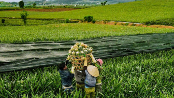 Khi kinh tế và truyền thông cùng tạo nền cho nông thôn mới Thanh Hóa