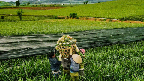Khi kinh tế và truyền thông cùng tạo nền cho nông thôn mới Thanh Hóa