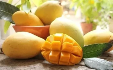 Tại sao bạn nên ăn xoài mỗi ngày?