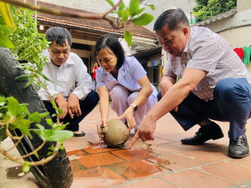 Thông tin tình hình dịch bệnh trên địa bàn thành phố Hà Nội từ ngày 17/10 đến 24/10