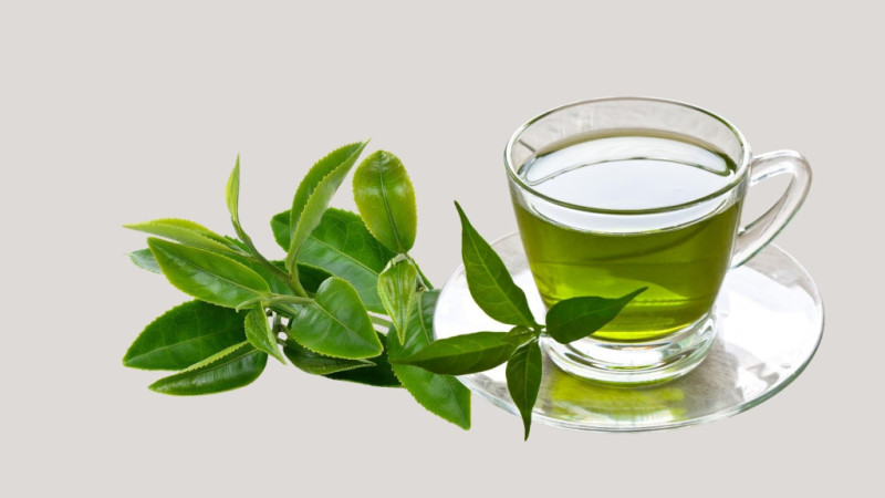 4 loại lá cây khiến căn bệnh ung thư “sợ hãi”