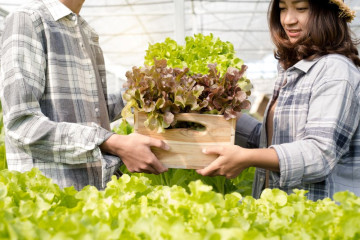 Cách sơ chế rau củ đúng để loại bỏ thuốc trừ sâu và vi khuẩn