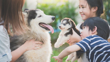 Các bệnh lây truyền từ thú cưng