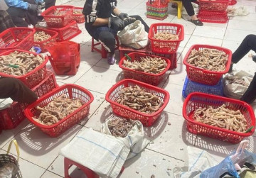 Thu giữ hơn 3,5 tấn chân gà và hàng trăm kg xúc xích không rõ nguồn gốc tại Lạng Sơn