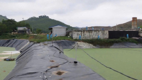 Thanh Hóa yêu cầu dừng hoạt động trang trại lợn công nghệ cao vi phạm môi trường