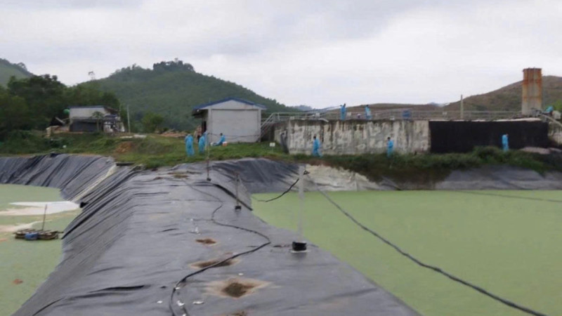 Thanh Hóa yêu cầu dừng hoạt động trang trại lợn công nghệ cao vi phạm môi trường