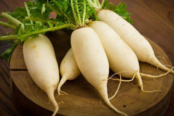 Củ cải trắng: Vị thuốc dân gian hỗ trợ điều trị viêm gan, vàng da