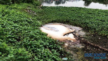 Phạt tiền đến 500 triệu khi vi phạm hành chính trong lĩnh vực tài nguyên nước