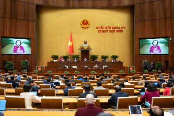 Quốc hội tranh luận về việc có nên tiếp tục duy trì mô hình đại học vùng?