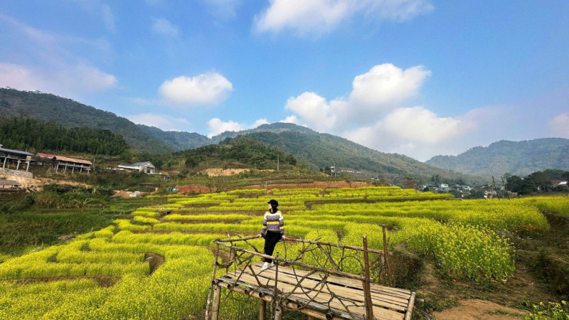 Cao Phong (Phú Thọ) – Miền đất xanh thức giấc cho tương lai sống khỏe