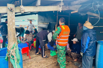 Đắk Lắk rà soát, sơ tán người dân trên các tàu, lồng bè, gấp rút chuẩn bị ứng phó bão số 15