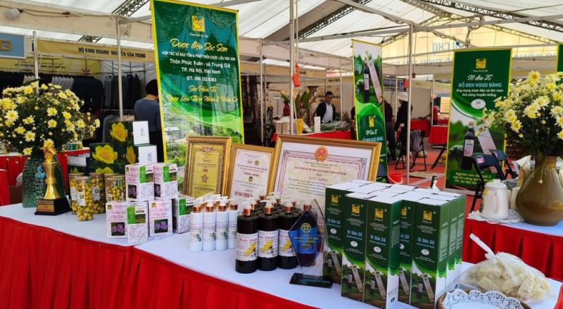 Hà Nội ban hành kế hoạch đảm bảo cung - cầu hàng hóa dịp Tết