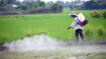 Thực phẩm độc hại, hóa chất, thuốc trừ sâu: Kẻ giết giống nòi vô hình