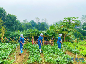 Nâng cao chất lượng bữa ăn bán trú cho học sinh