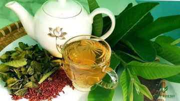 Công dụng ít ai biết của trà lá ổi