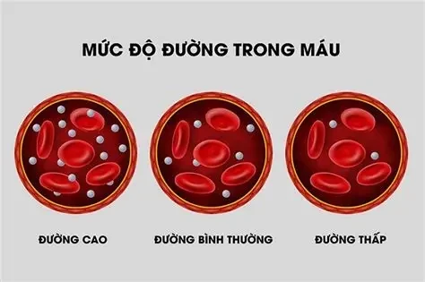 5 dấu hiệu phổ biến cảnh báo lượng đường trong máu đang tăng cao
