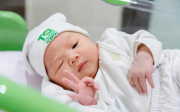 Ngũ tạng và sinh lực: Nam y nhìn lại gốc sinh sản của con người