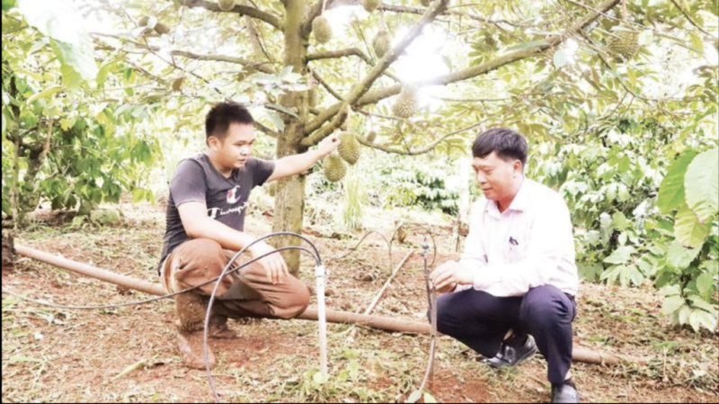Cảnh báo hạn hán, thiếu nước bằng công nghệ viễn thám