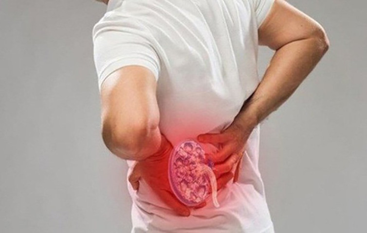 Thận tinh: Nguồn gốc của sự sống