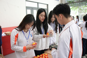 Biến giấy vụn trở thành những “Món đồ xanh” thân thiện với môi trường