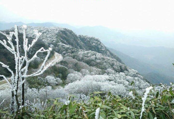 Chủ động ứng phó rét đậm, rét hại