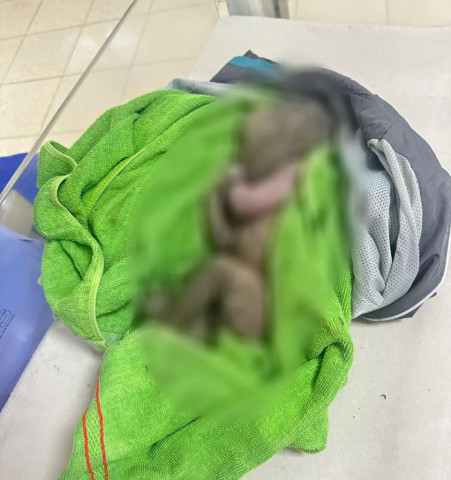 Kịp thời cứu sống trẻ sơ sinh bị bỏ rơi ở mương nước