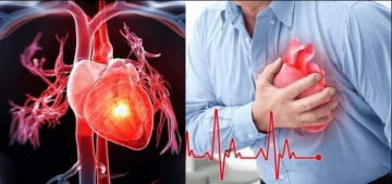 Rét đậm - thử thách với sức khỏe tim, phổi và mạch máu