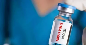 Nhật Bản thử nghiệm lâm sàng vaccine ngừa virus Nipah