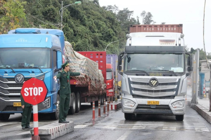 Tạm dừng áp dụng Nghị định số 46 về an toàn thực phẩm đến hết ngày 15/4/2026