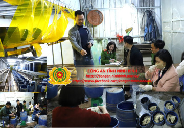 Ninh Bình: Phát hiện gần 2,8 tấn giá đỗ chứa chất cấm chuẩn bị tuồn ra thị trường