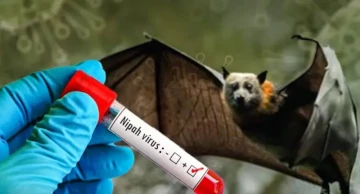 WHO xác nhận 1 người đã tử vong do virus Nipah ở Bangladesh